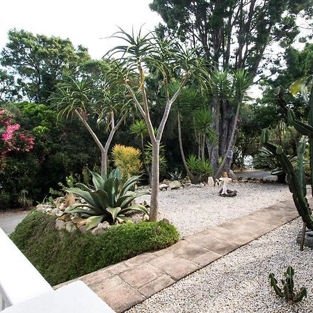 South Villa Guesthouse&Garden Knysna Extérieur photo