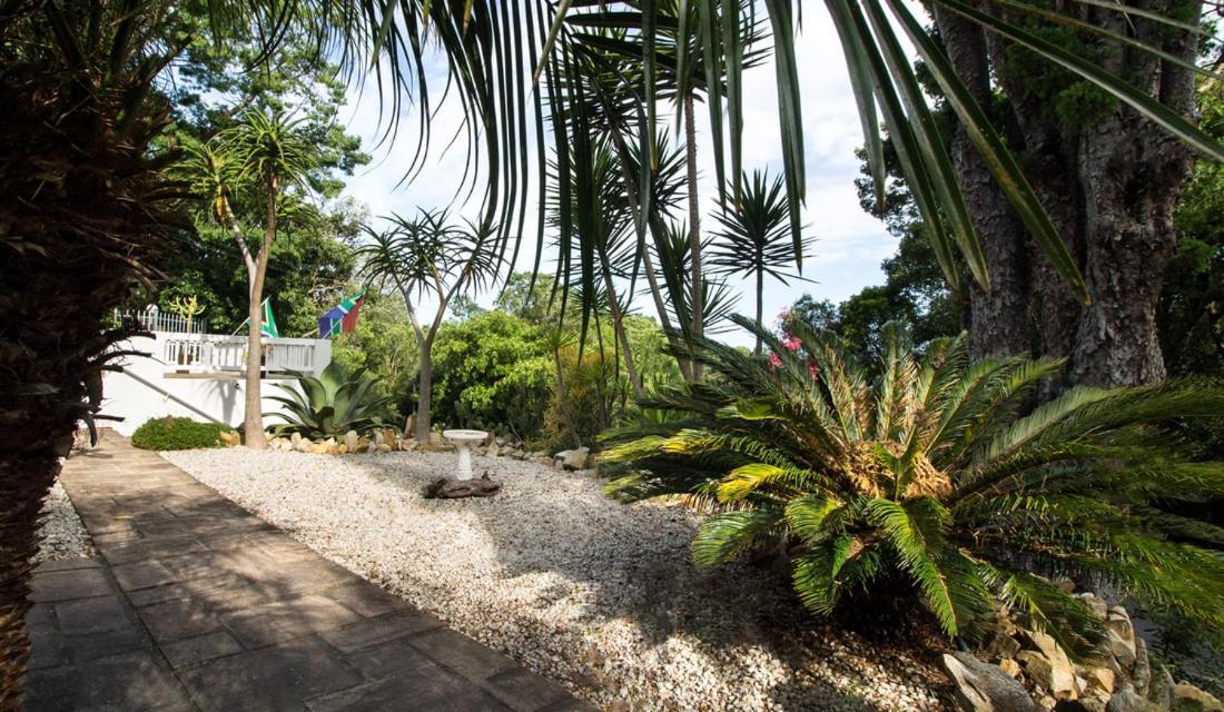 South Villa Guesthouse&Garden Knysna Extérieur photo