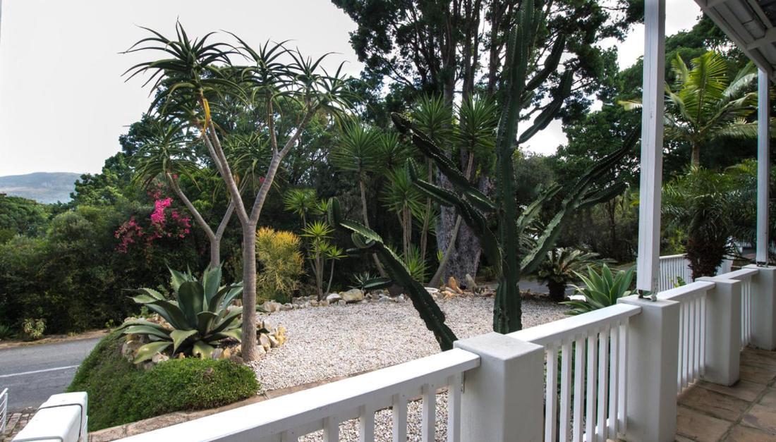 South Villa Guesthouse&Garden Knysna Extérieur photo