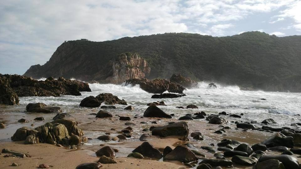 South Villa Guesthouse&Garden Knysna Extérieur photo
